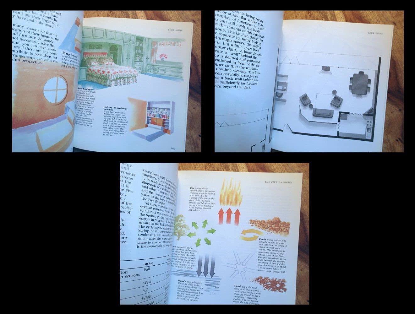 The Feng Shui Handbook: How To Create A Healthier Living & Working Environment (Henry Holt Reference Book) used book depot