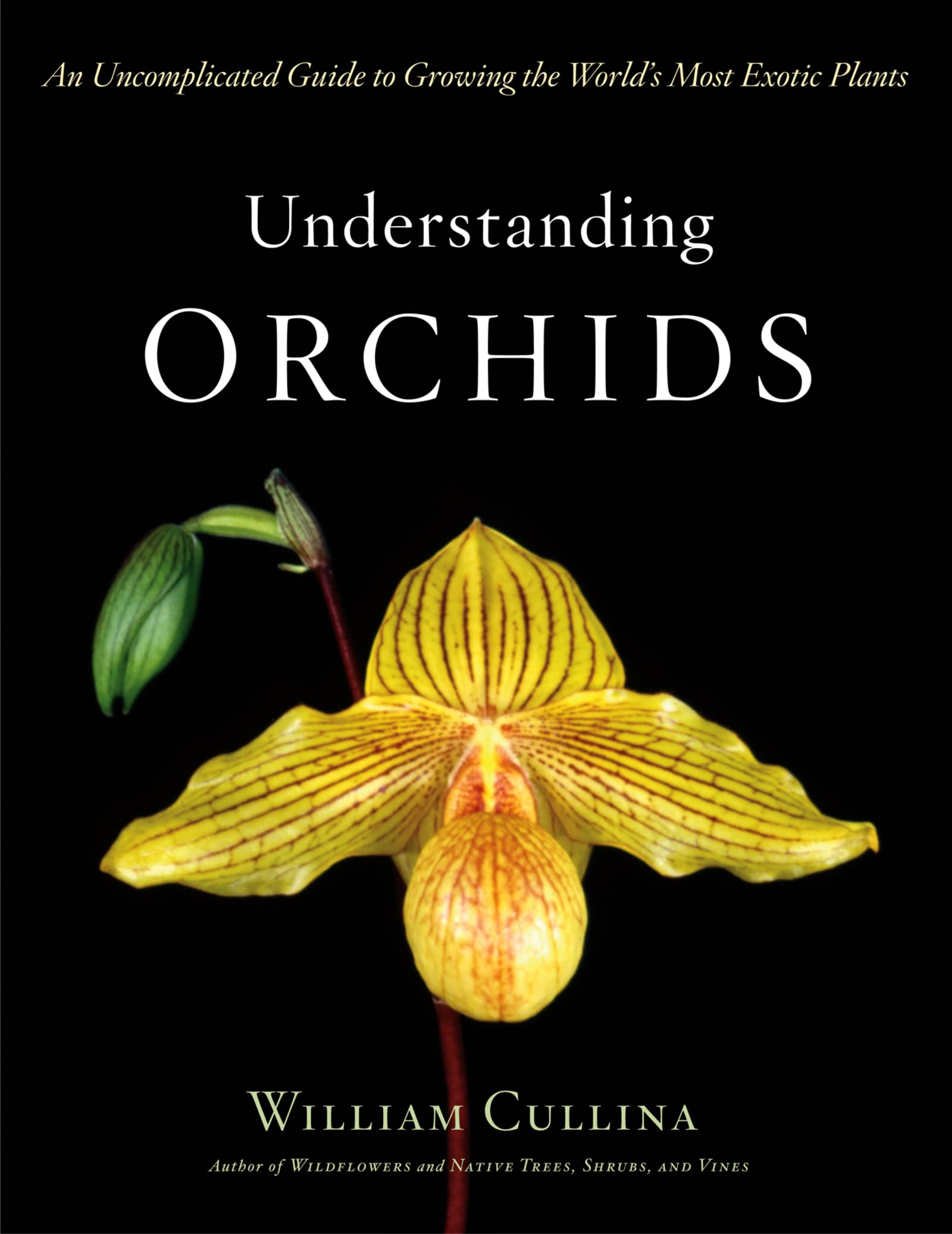 Understanding Orchids: An Uncomplicated Guide to Growing the World's Most Exotic Plants used book depot