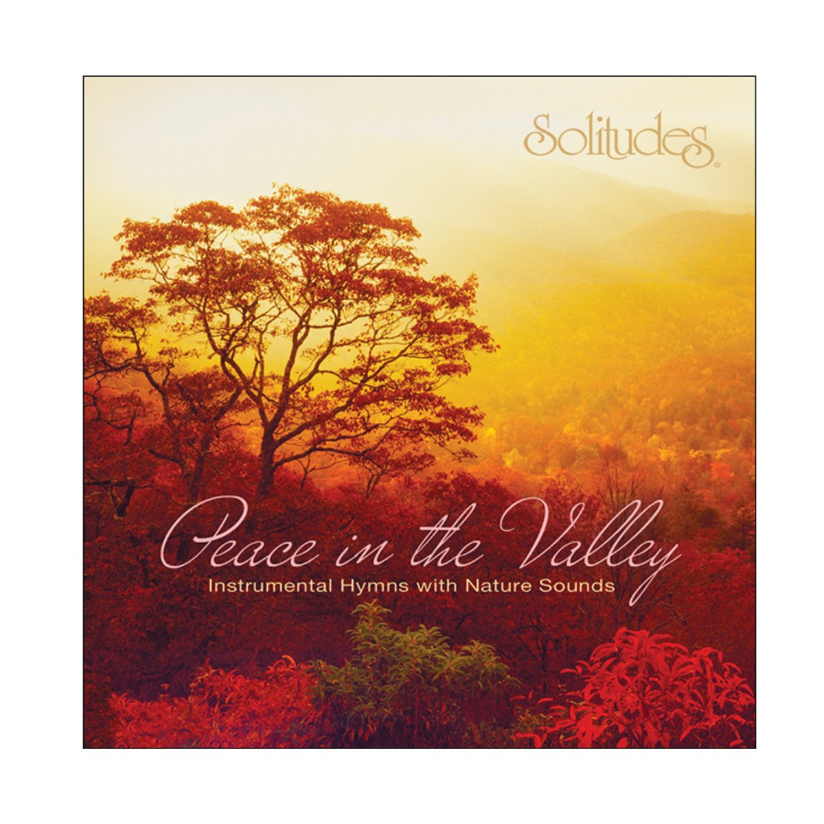 Peace in the Valley used book depot