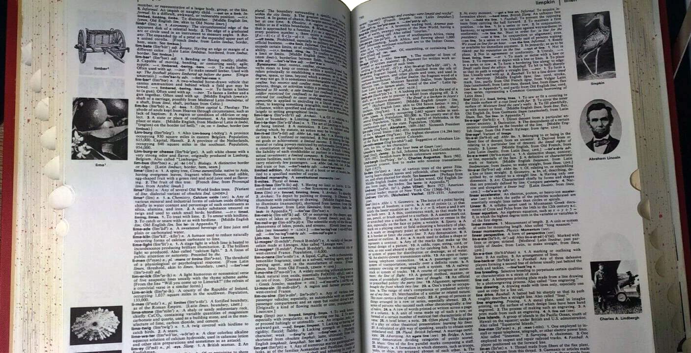 The American Heritage Dictionary of the English Language