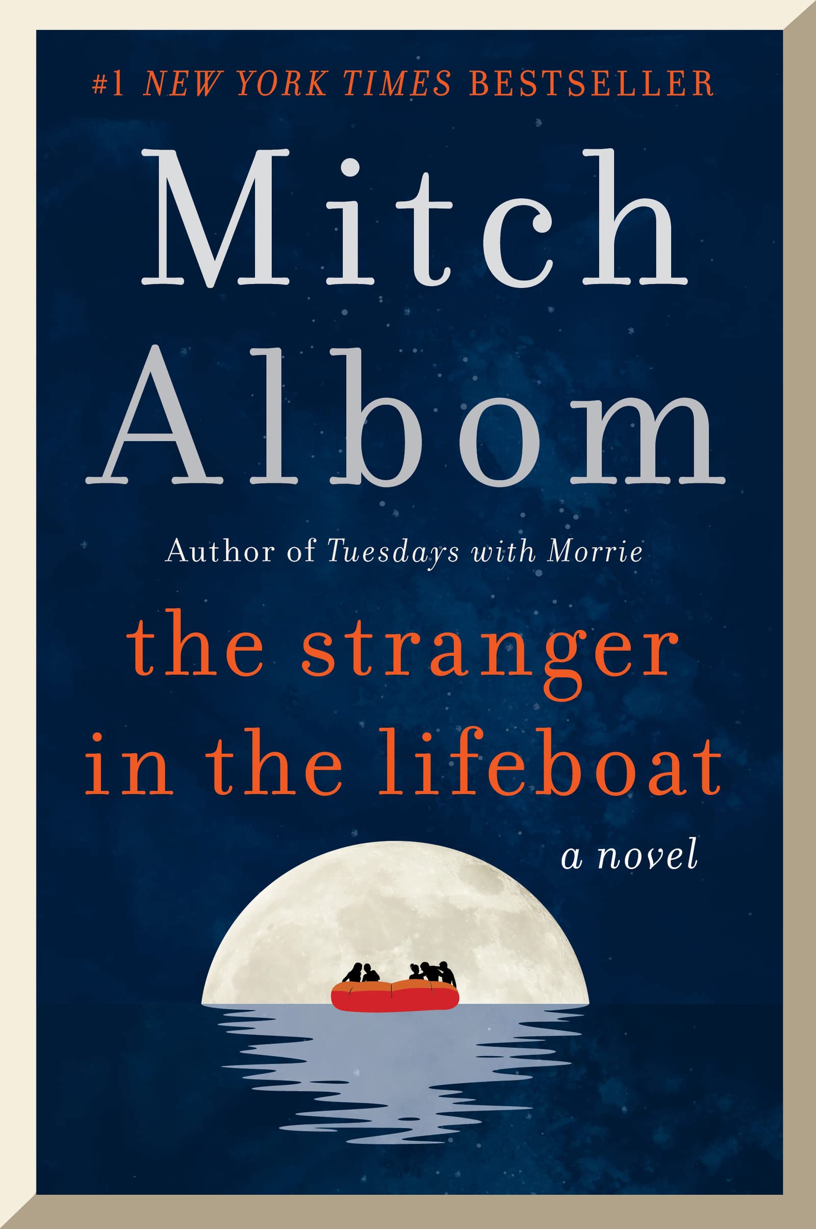 The Stranger in the Lifeboat: A Novel used book depot