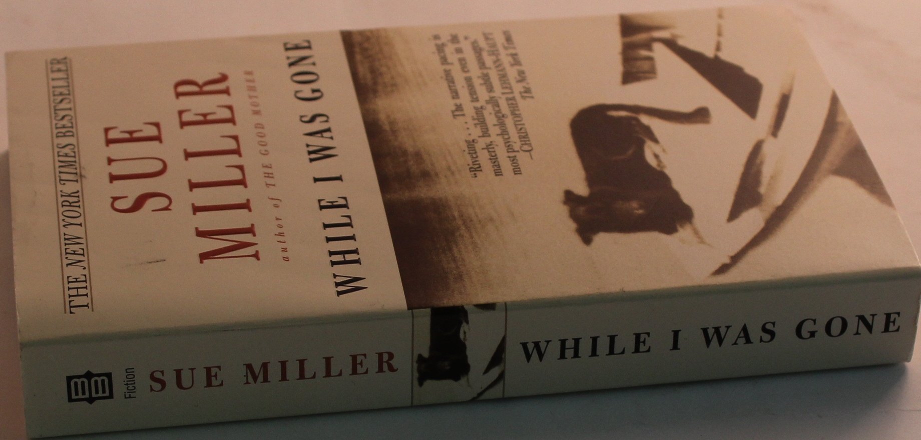 While I Was Gone used book depot