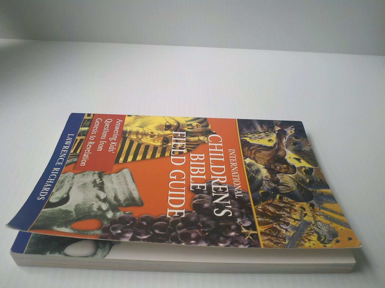 International Children's Bible Field Guide used book depot