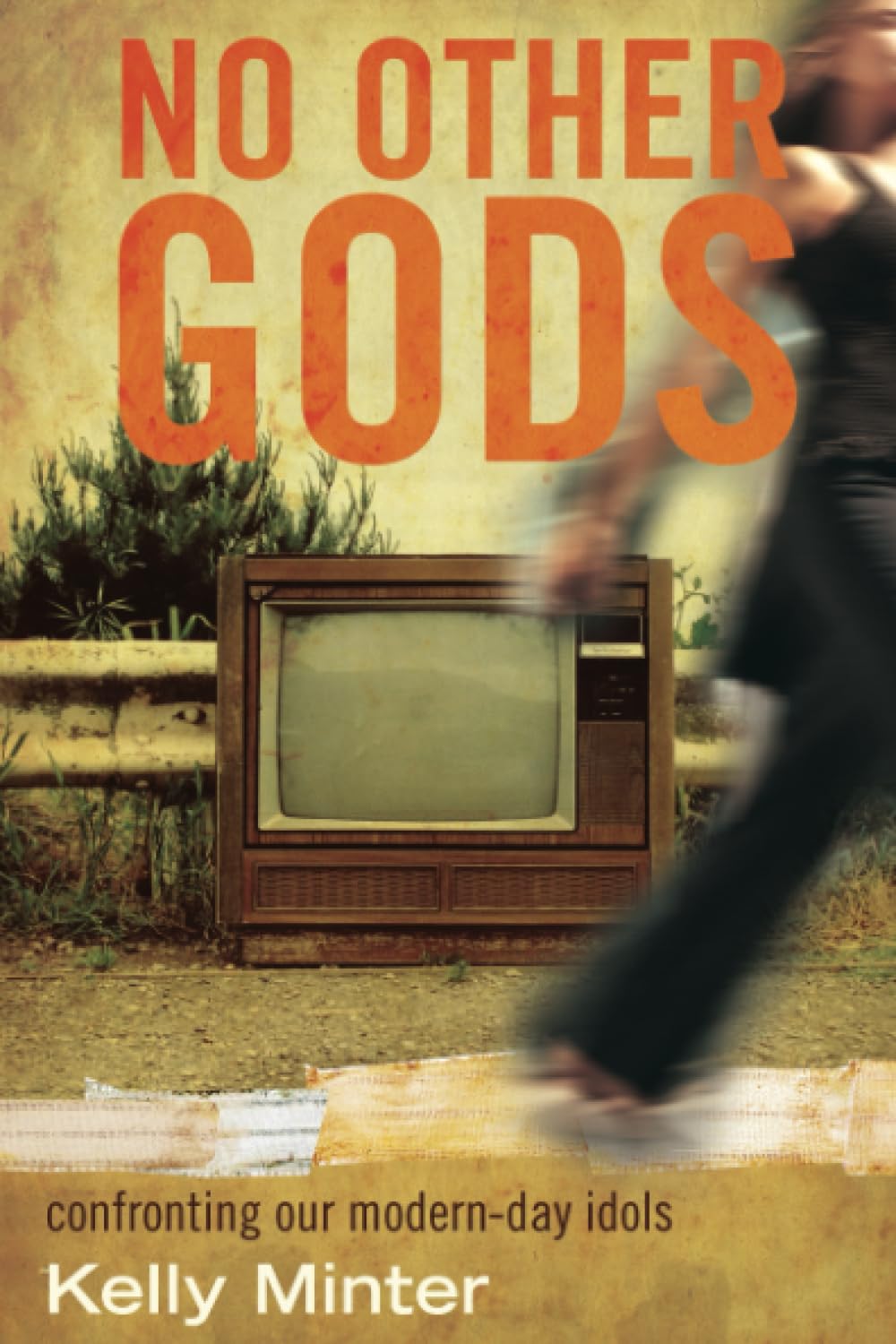 No Other gods: Confronting Our Modern Day Idols used book depot