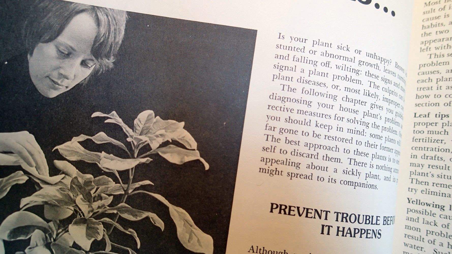 How to Grow House Plants used book depot