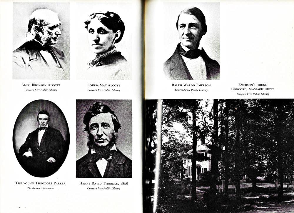 Louisa May: A Modern Biography of Louisa May Alcott used book depot