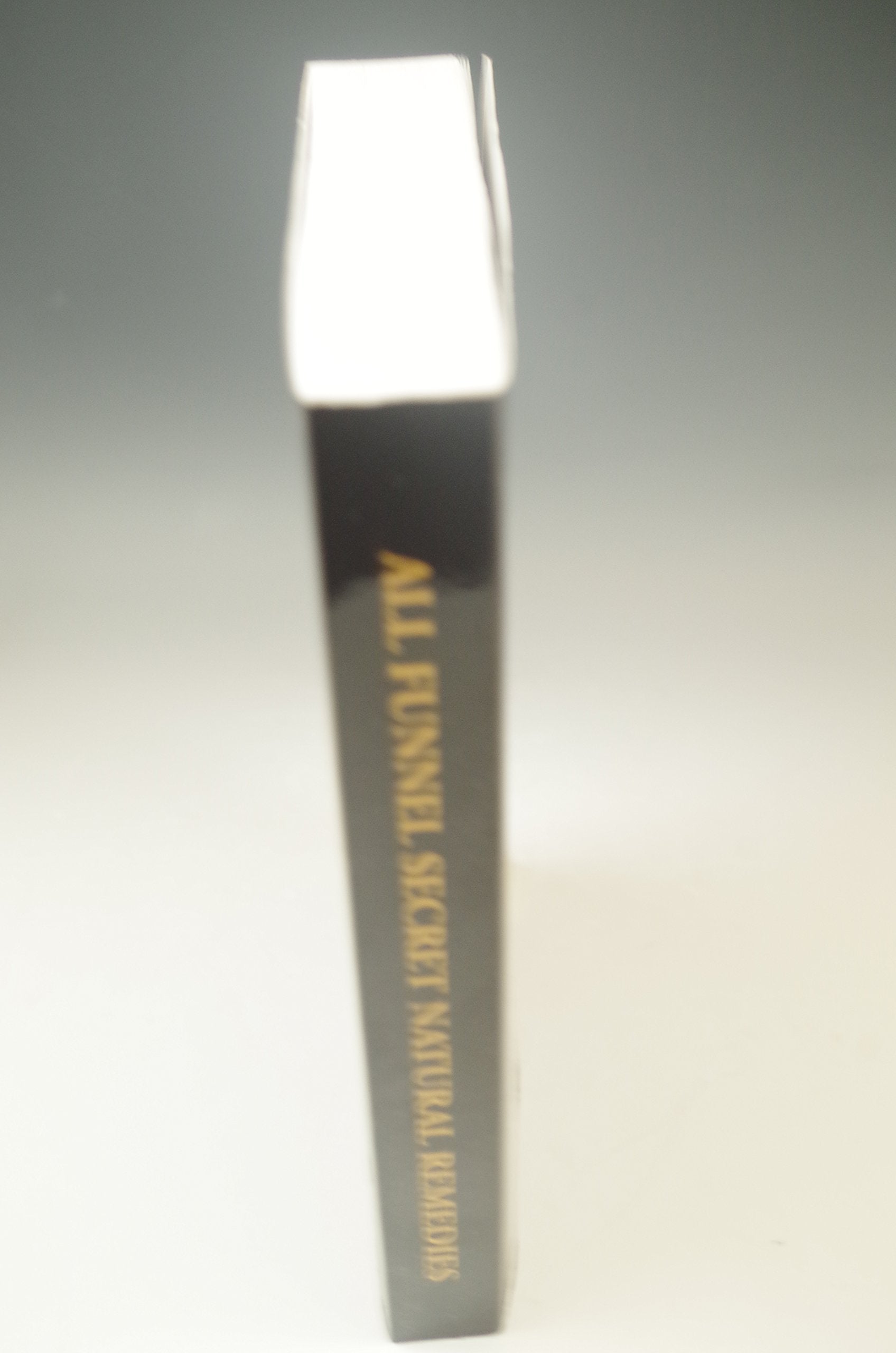 SECRET NATURAL REMEDIES AMISH ALL NATURAL CURES BOOK used book depot