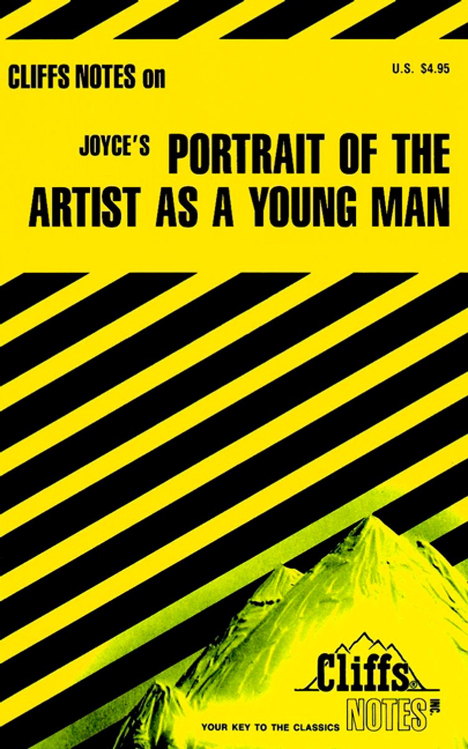 Joyce's Portrait of the Artist As a Young Man (Cliffs Notes) used book depot