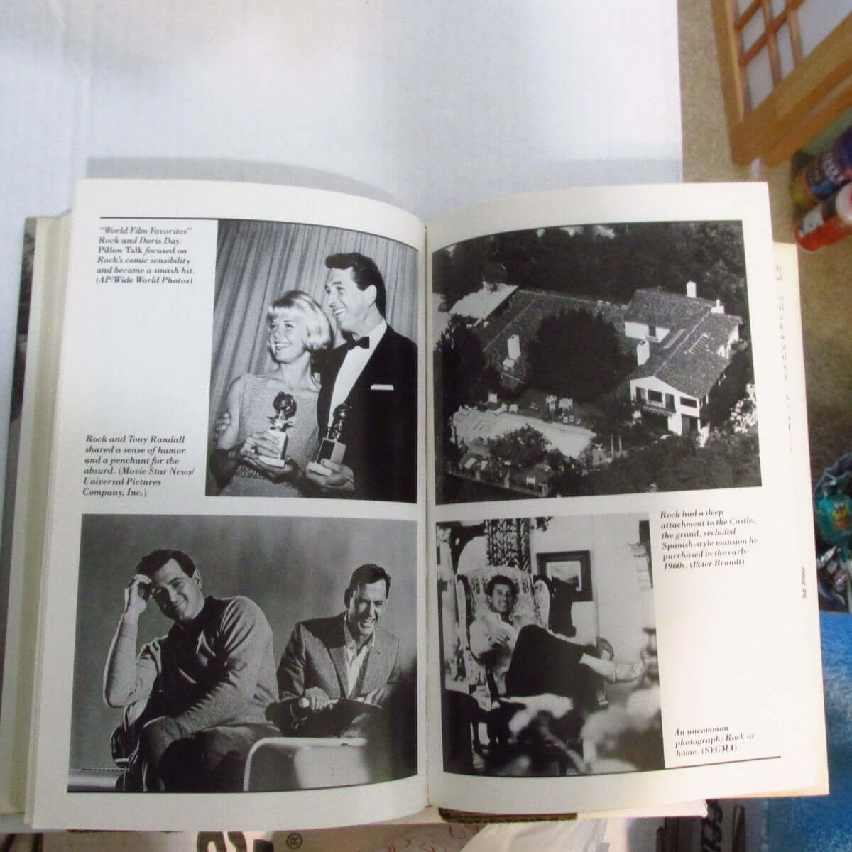 Idol, Rock Hudson: The True Story of an American Film Hero used book depot