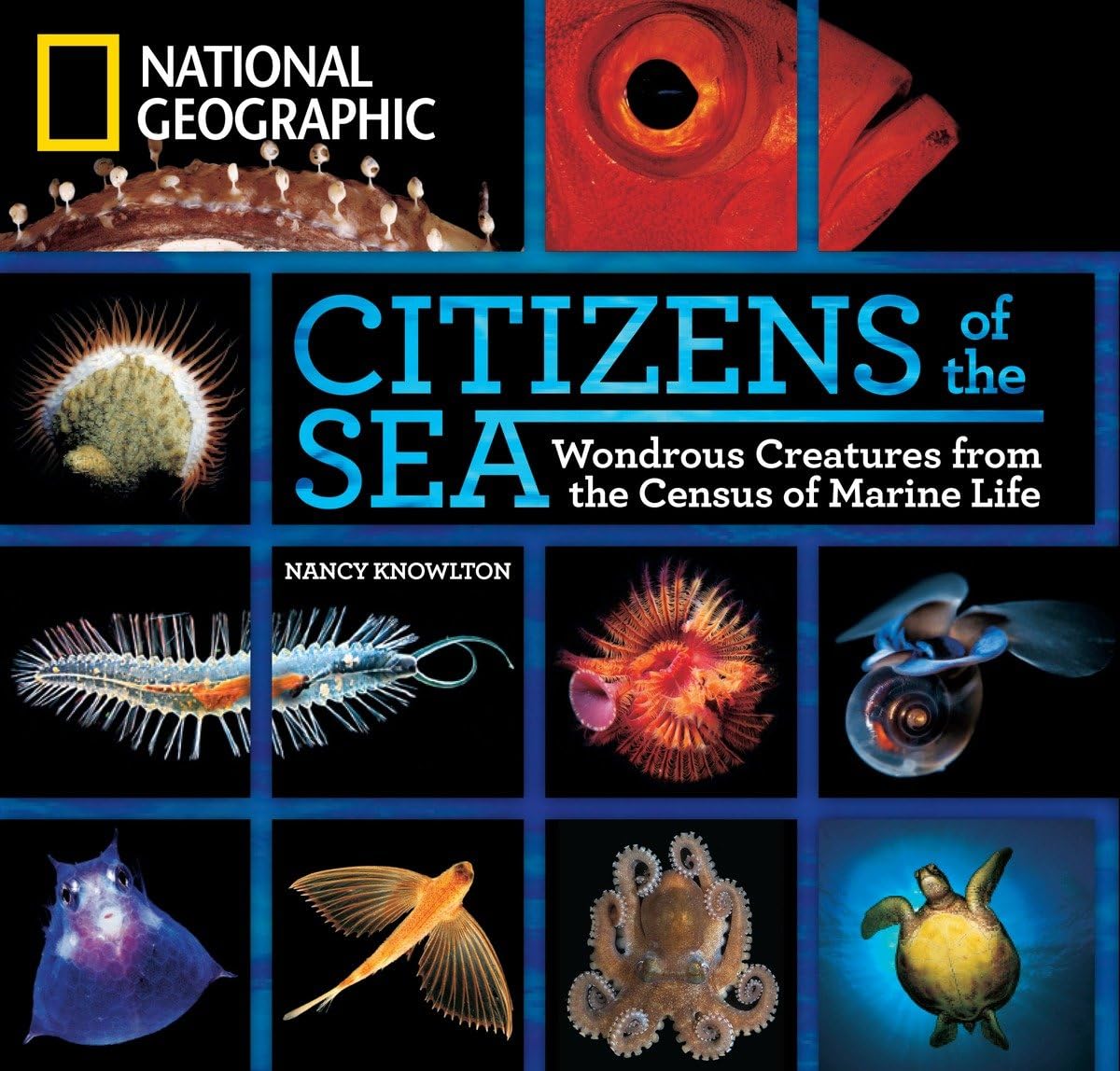 Citizens of the Sea: Wondrous Creatures From the Census of Marine Life used book depot