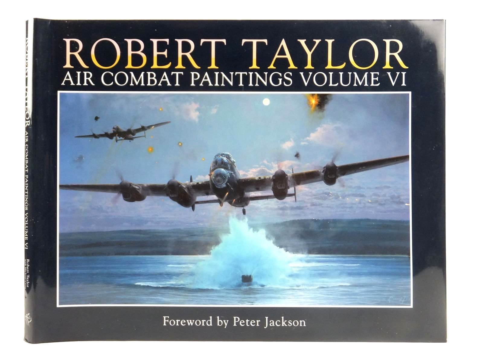 Robert Taylor - Air Combat Paintings: VI used book depot