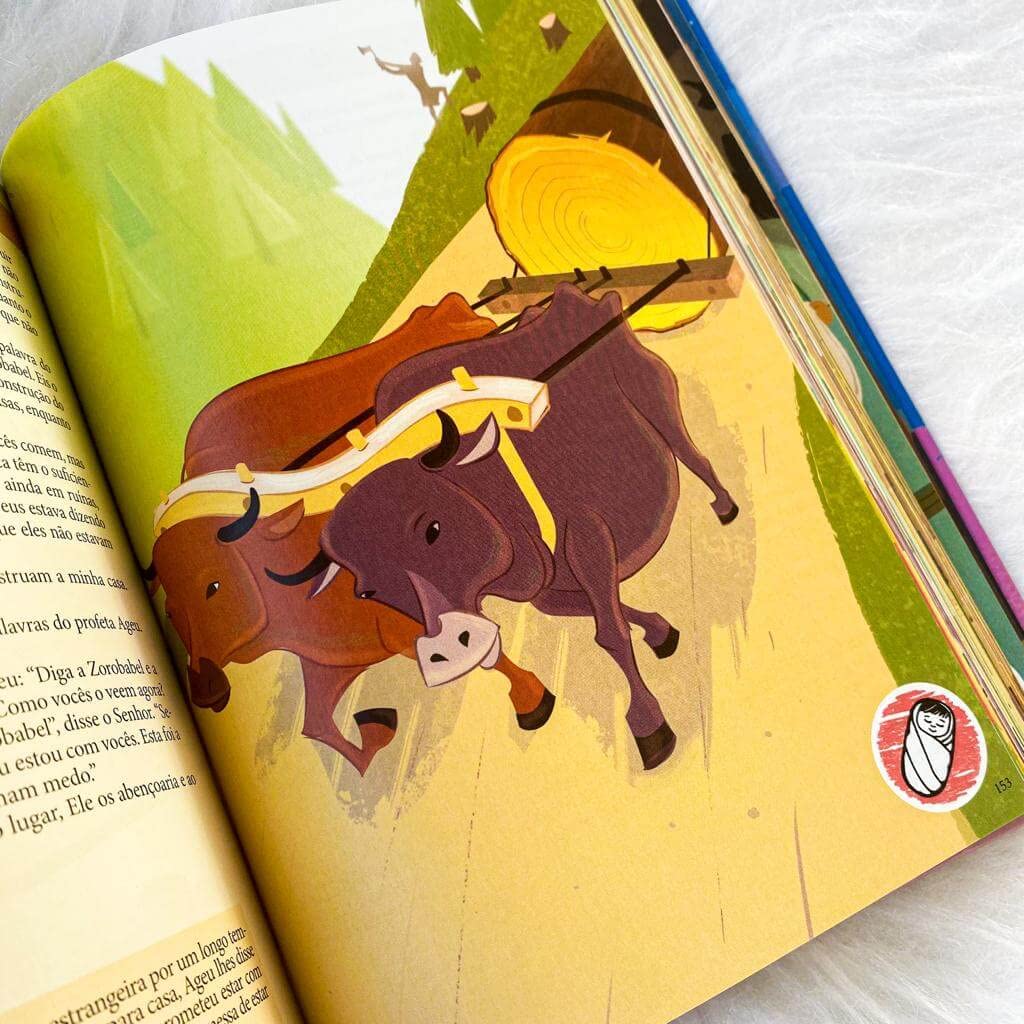 The Big Picture Interactive Bible Storybook, Hardcover: Connecting Christ Throughout God’s Story (The Big Picture Interactive / The Gospel Project) used book depot
