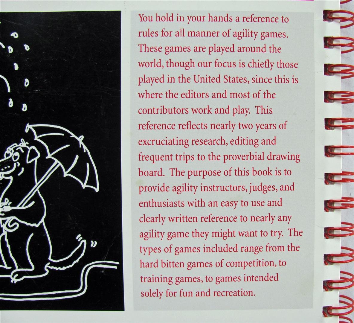 Clean Run Book of Agility Games used book depot