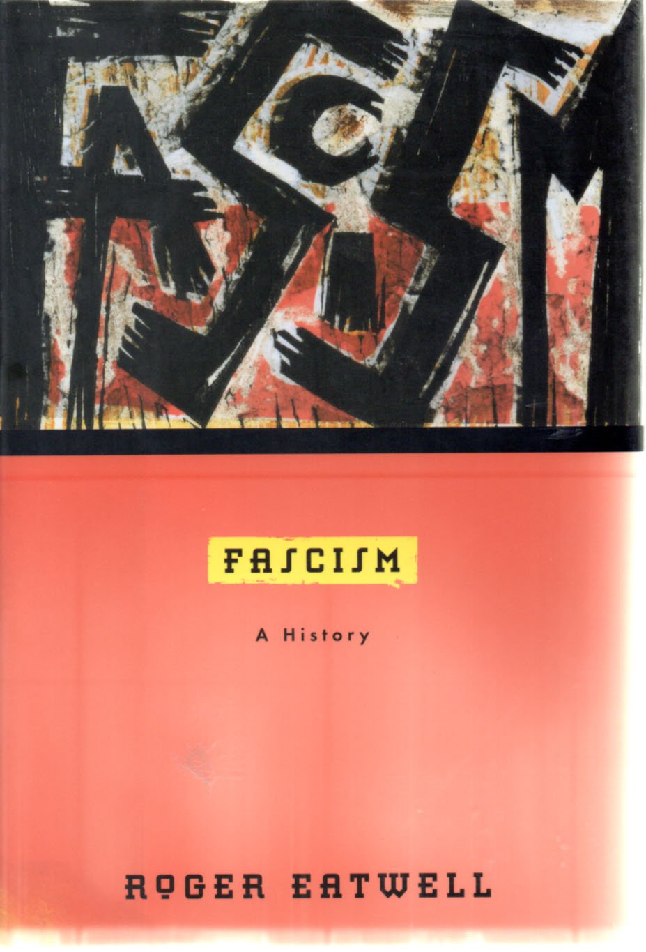 Fascism: A History used book depot