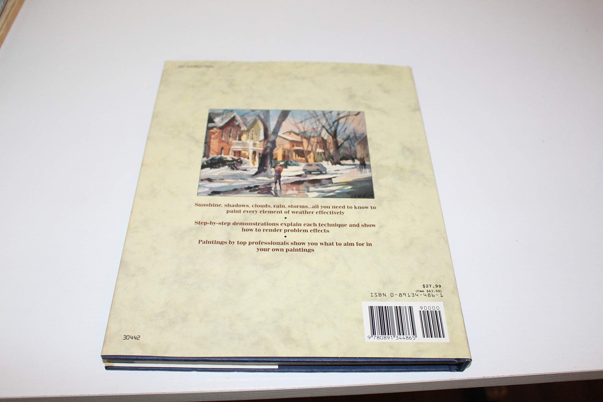 Painting the Effects of Weather used book depot