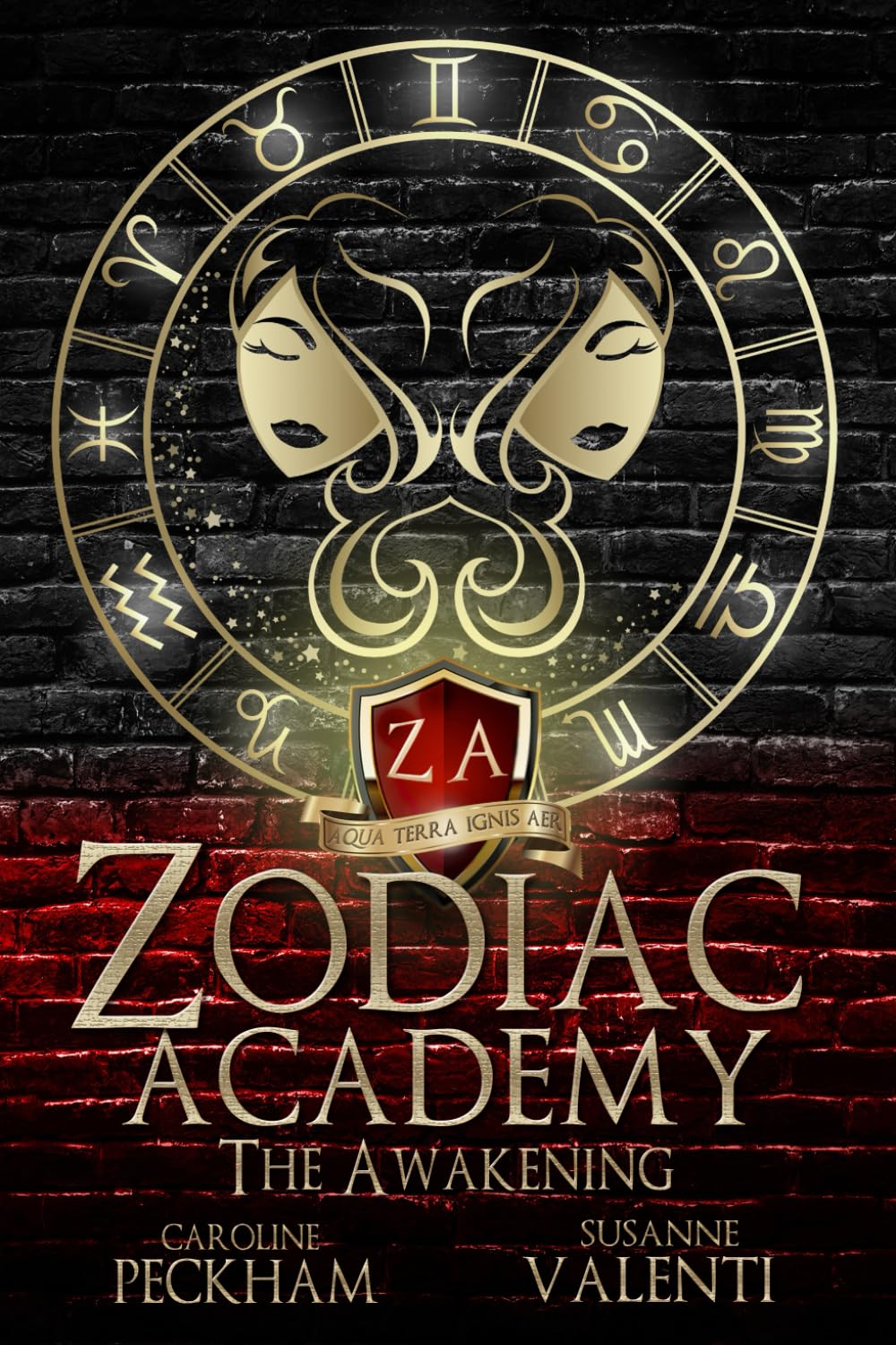 Zodiac Academy: The Awakening used book depot