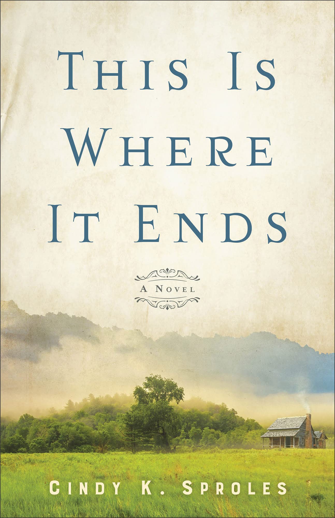 This Is Where It Ends: A Novel used book depot