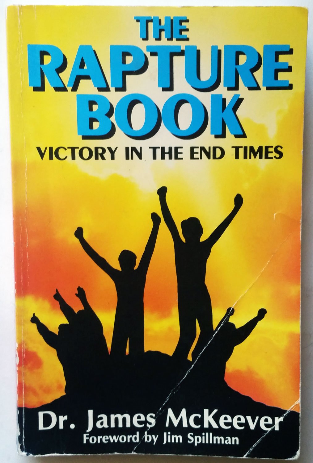 The Rapture Book: Victory in the End Times used book depot