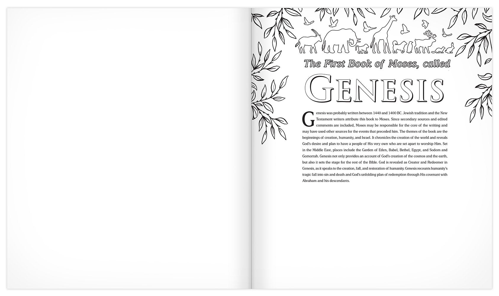 The MEV Promises of God Creative Journaling Bible: Modern English Version used book depot