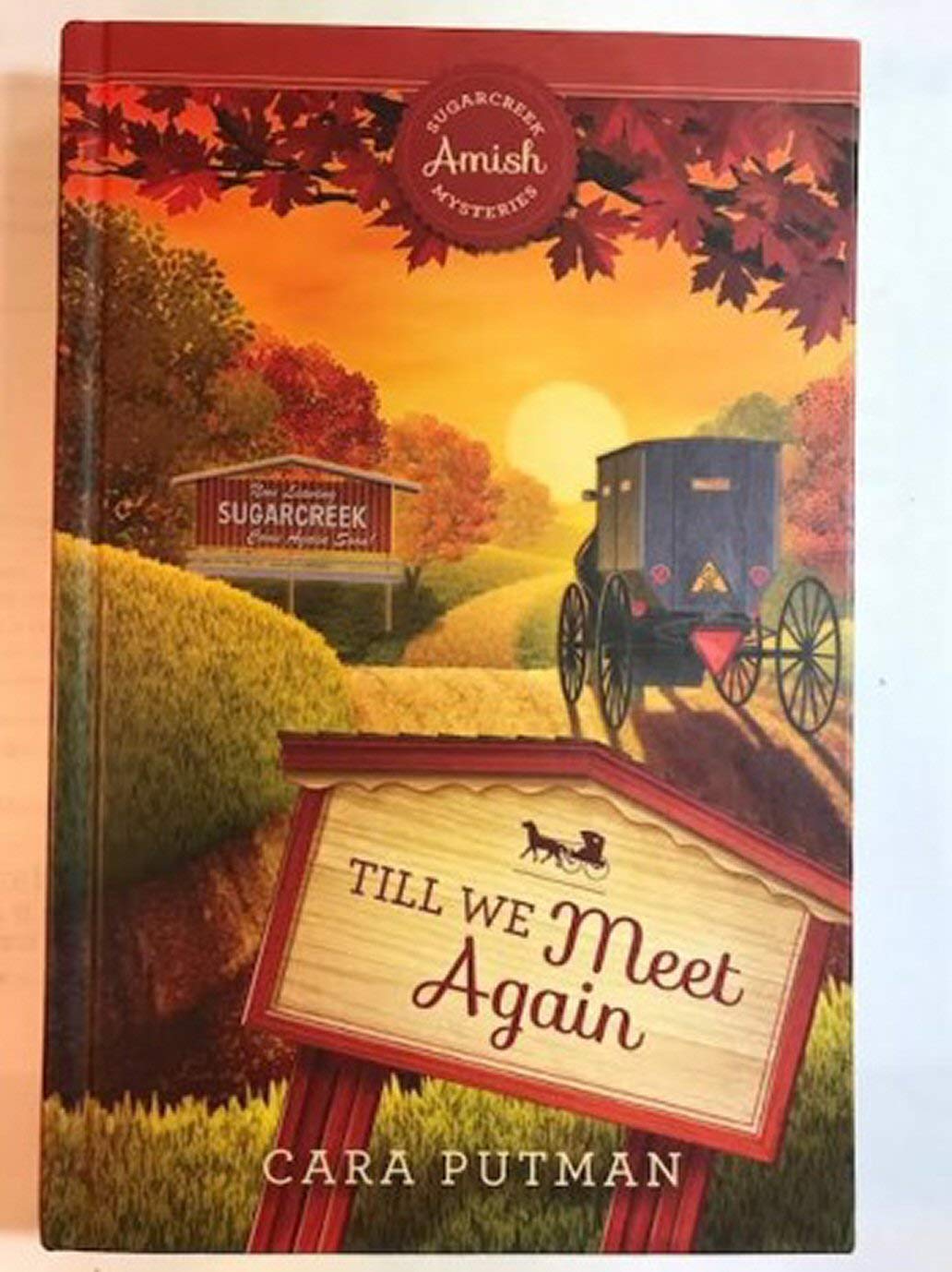 Till We Meet Again used book depot
