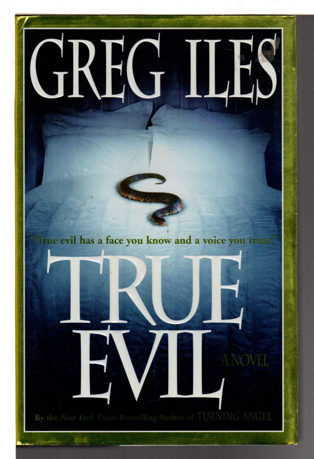 True Evil: A Novel used book depot