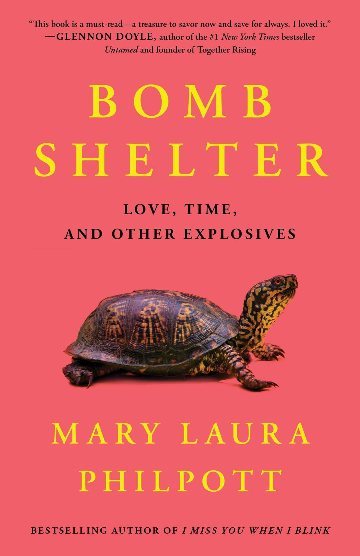 Bomb Shelter: Love, Time, and Other Explosives used book depot