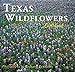 Texas Wildflowers Texas Littlebooks Reynolds, Richard