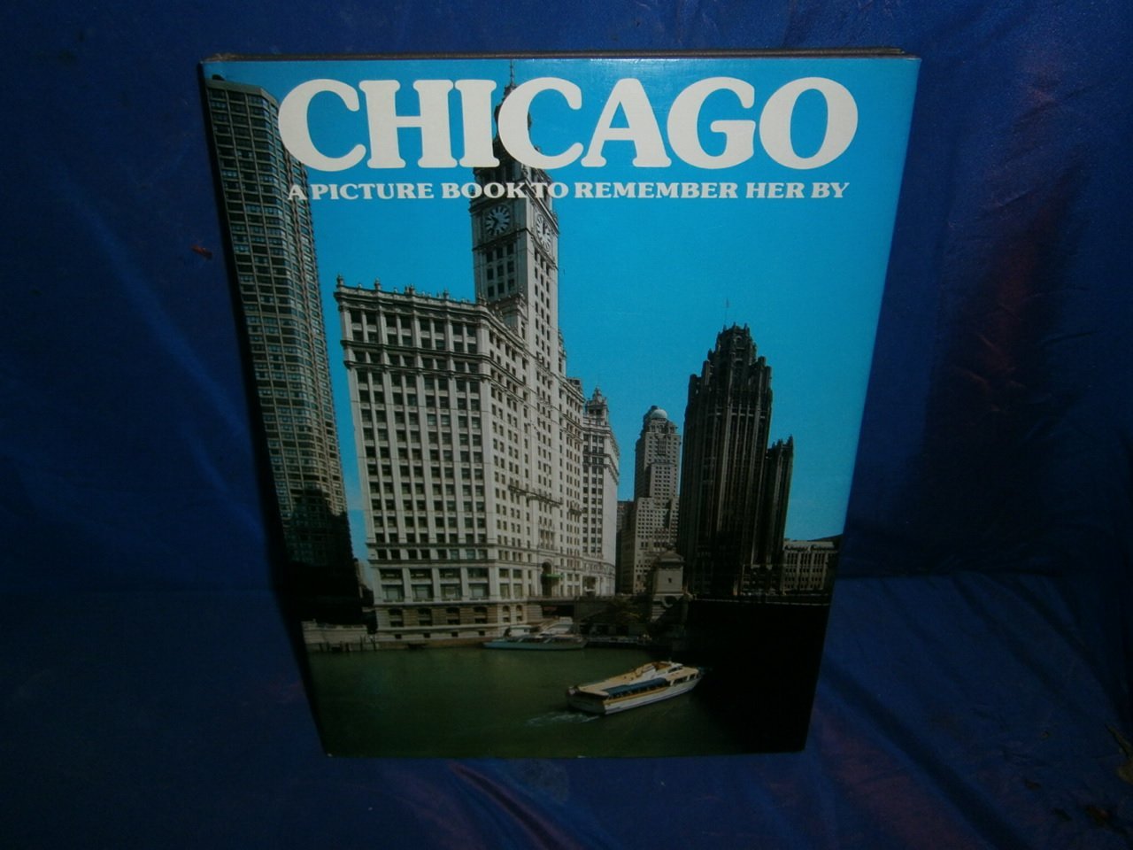 Chicago: A Picture Book To Remember Her By used book depot