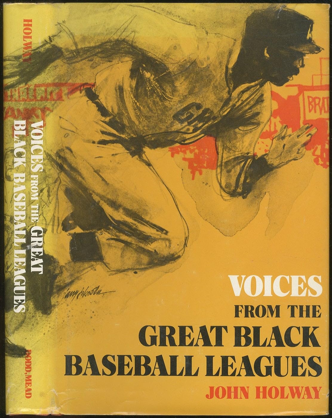 Voices from the great Black baseball leagues used book depot