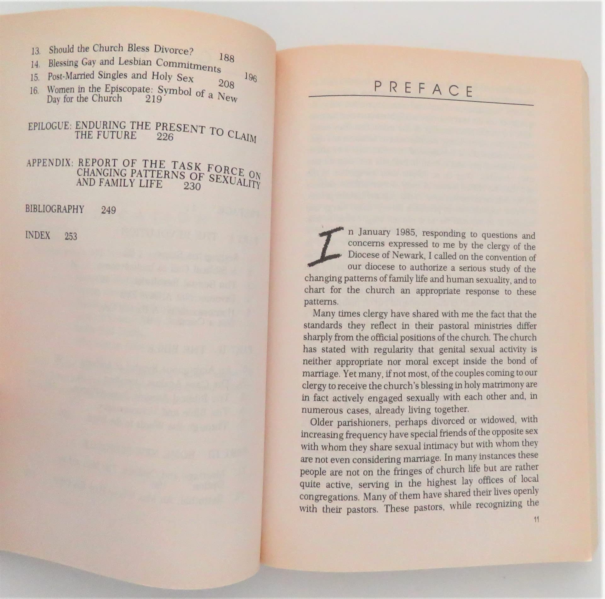 Living in Sin?: A Bishop Rethinks Human Sexuality used book depot