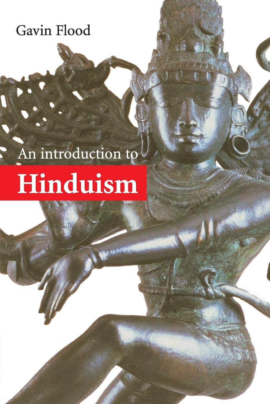 An Introduction to Hinduism (Introduction to Religion) used book depot