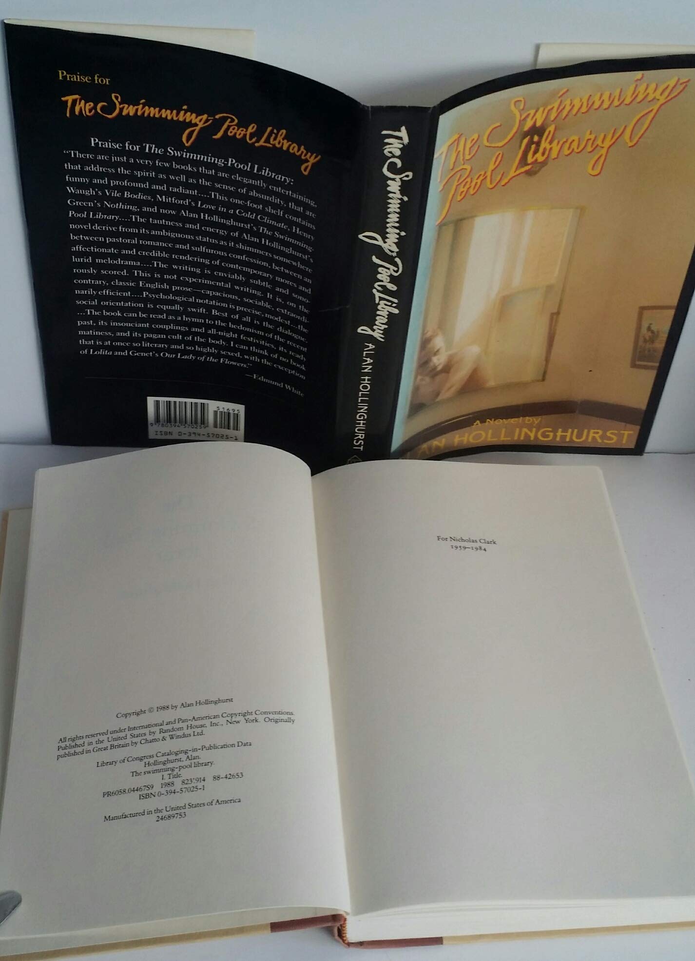 The Swimming-Pool Library used book depot