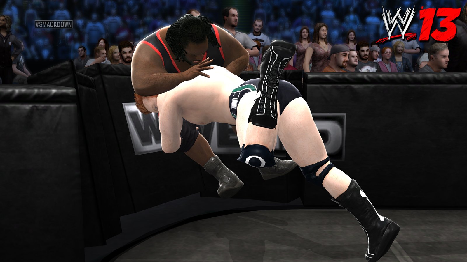 WWE '13 used book depot