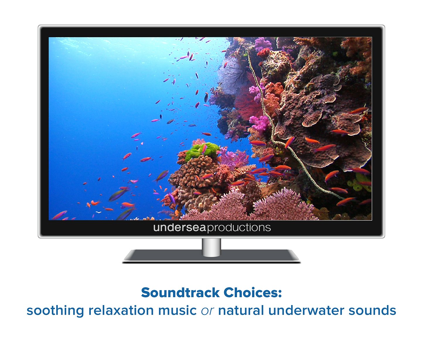 Reefscapes: Nature's Aquarium DVD, nature video of tropical fish and coral reefs filmed in the ocean, for relaxation and ambience used book depot