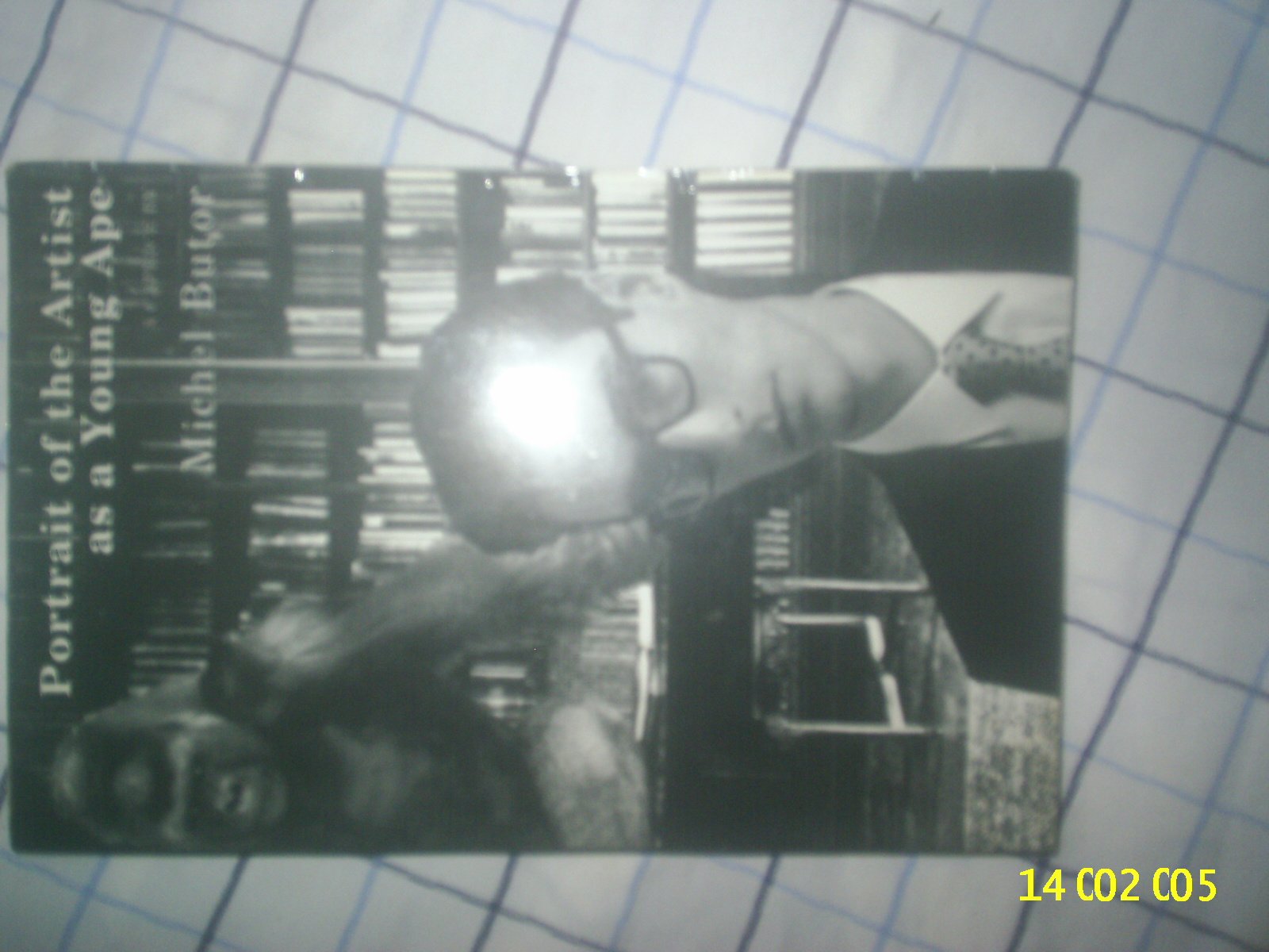 Portrait of the Artist as a Young Ape: A Caprice used book depot