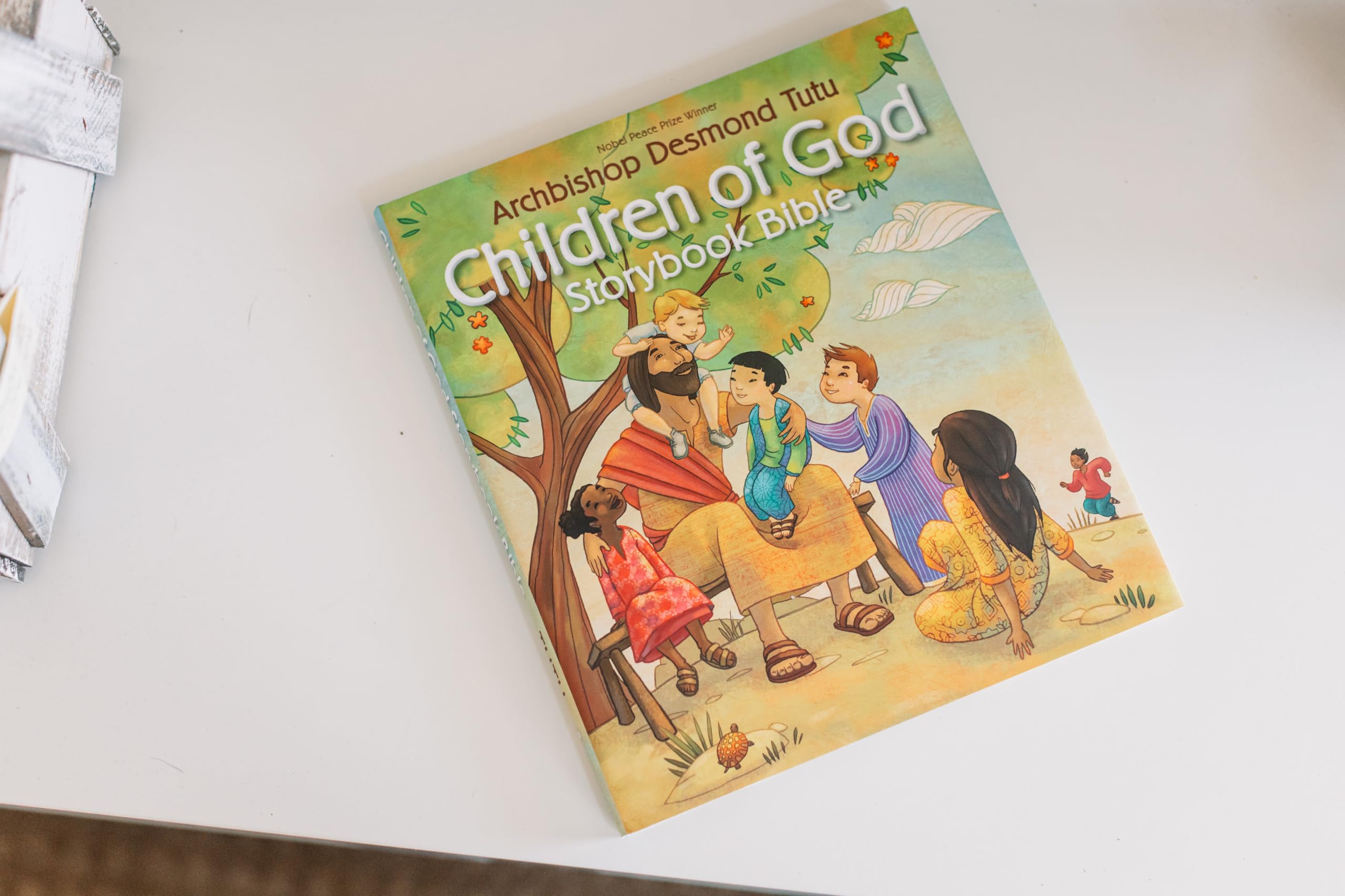 Children of God Storybook Bible used book depot