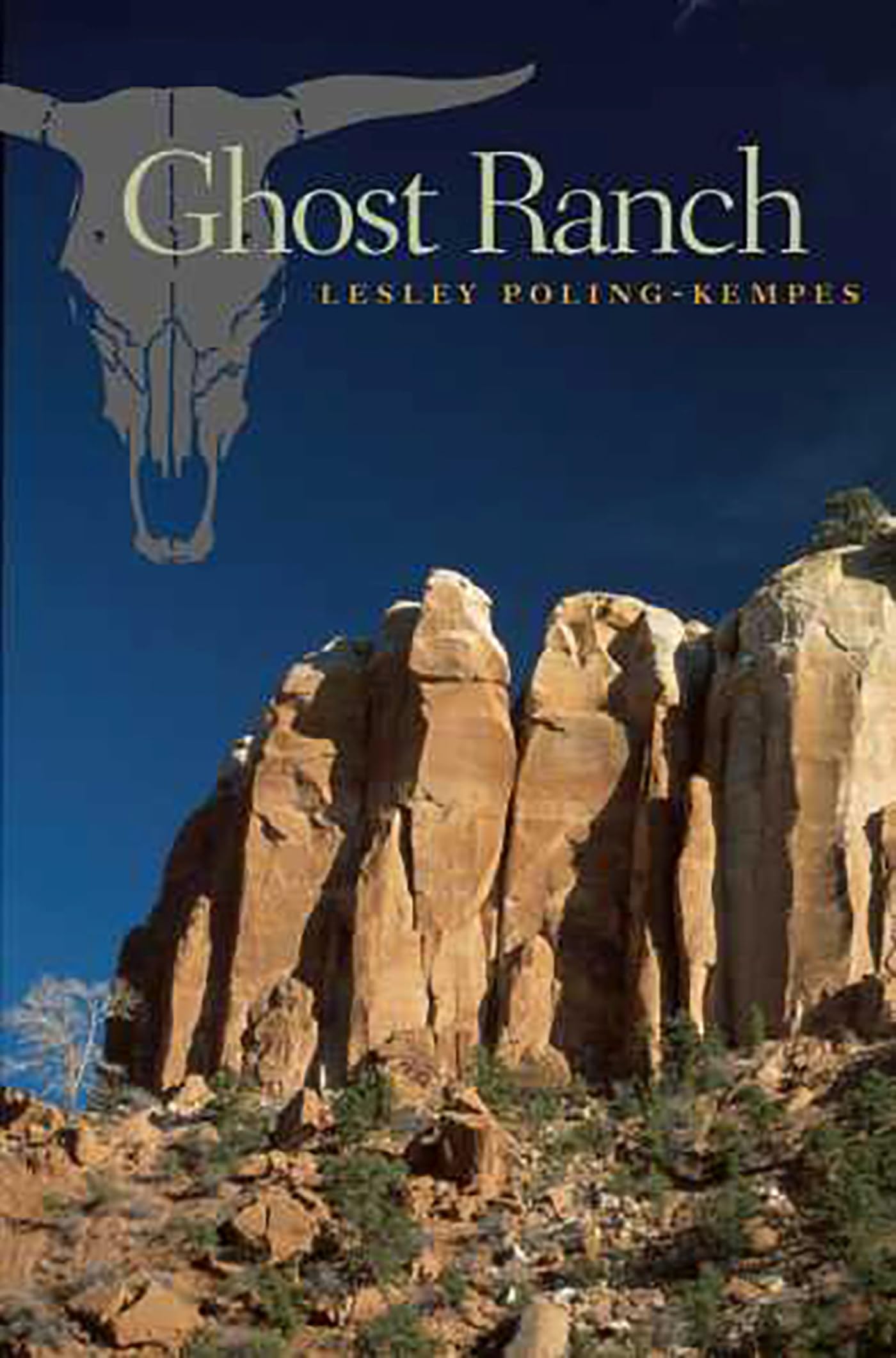 Ghost Ranch used book depot