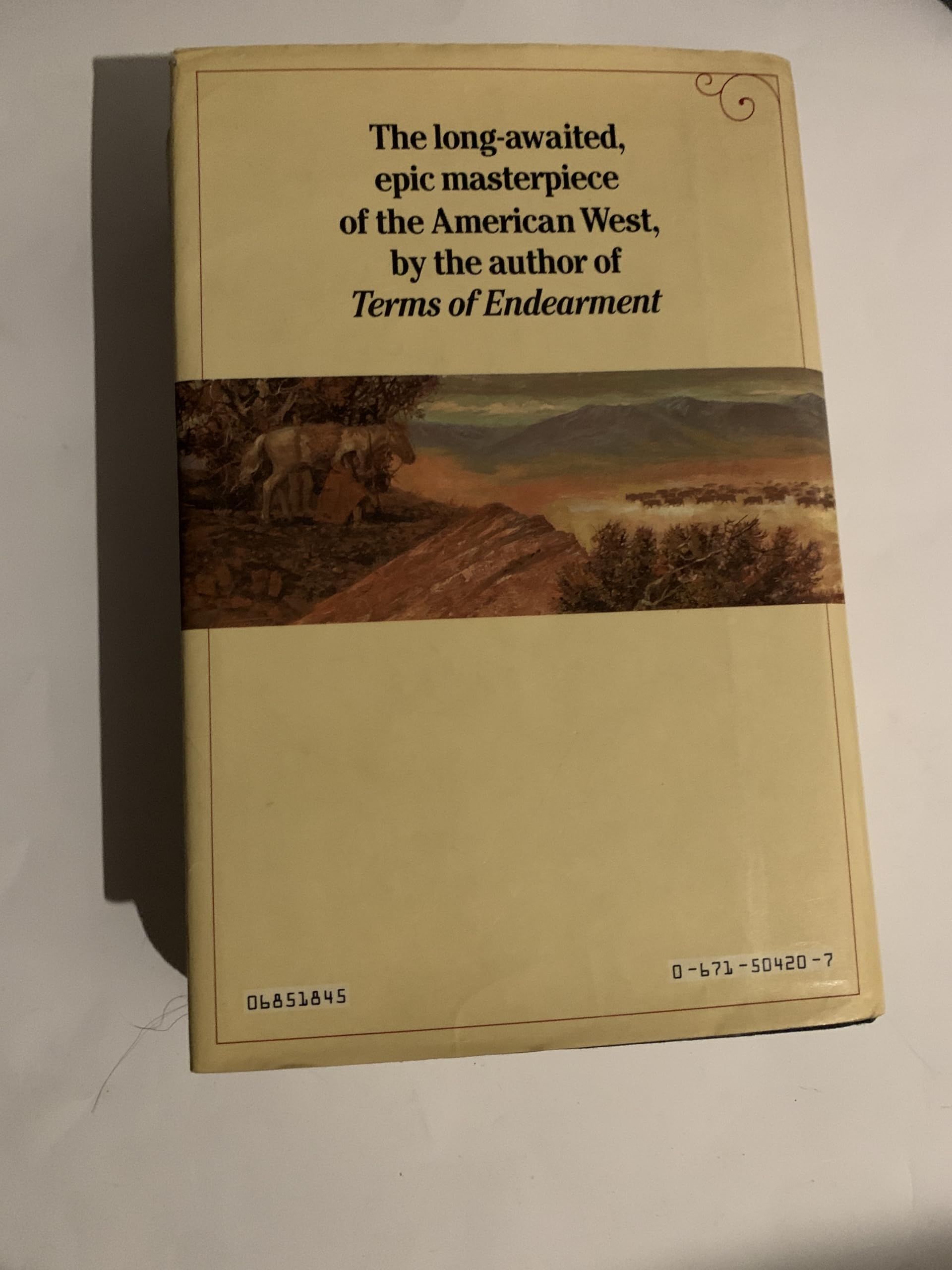 Lonesome Dove used book depot