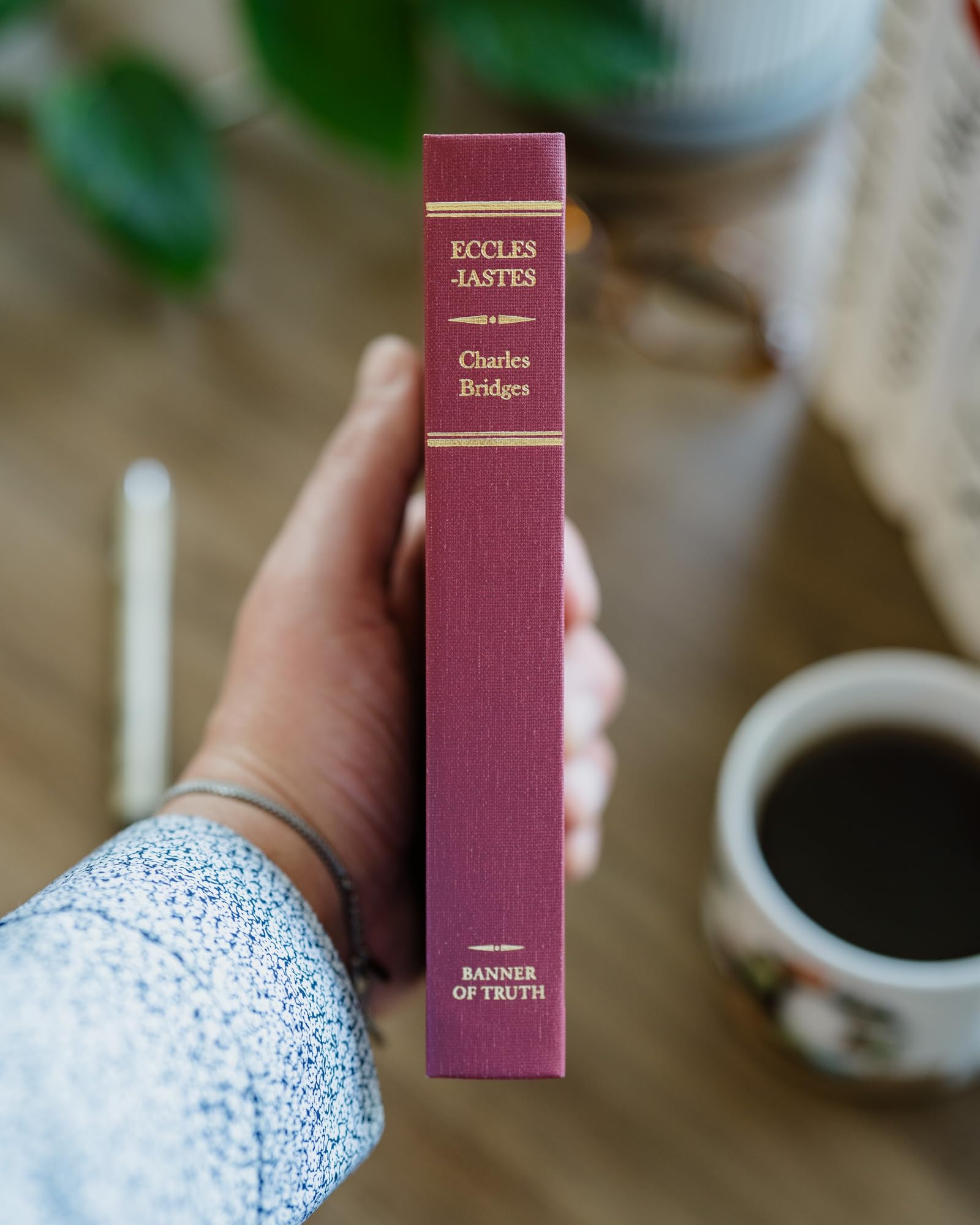 Ecclesiastes (Geneva S) used book depot