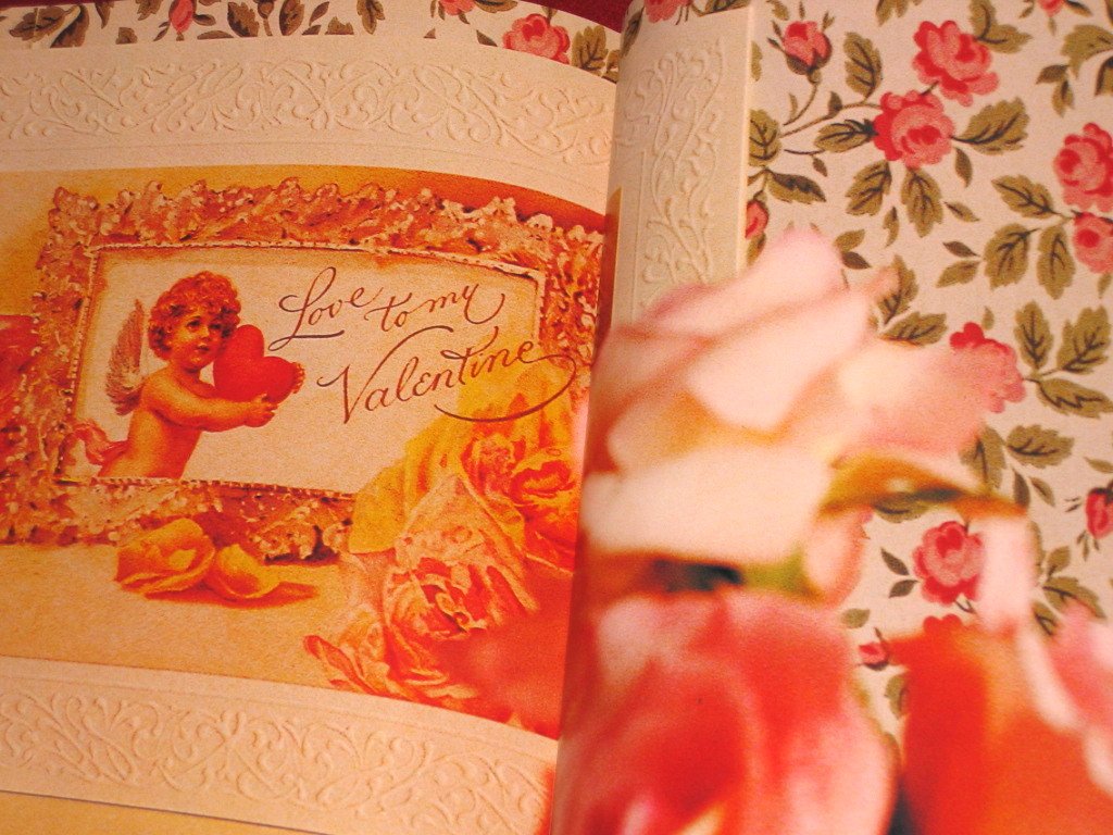 Victoria: At Home with Roses (Patterns, Petals and Prints to Adorn Every Room) used book depot