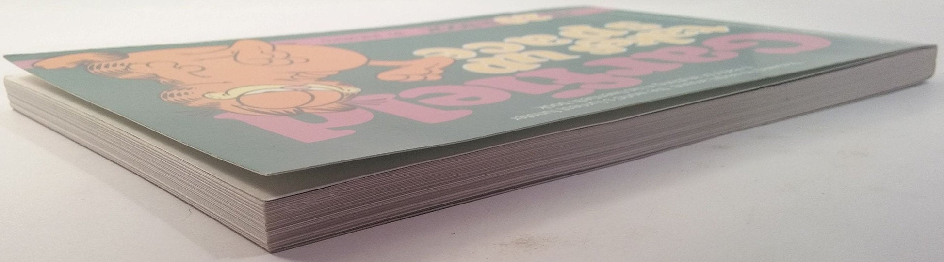 Garfield Takes Up Space: His 20th Book used book depot