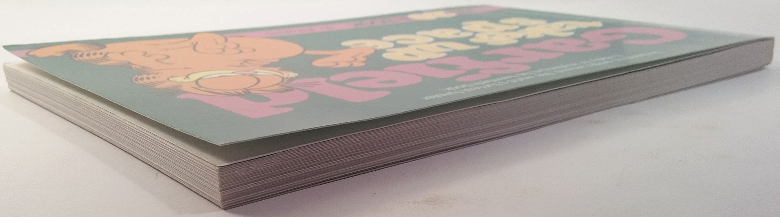Garfield Takes Up Space: His 20th Book used book depot