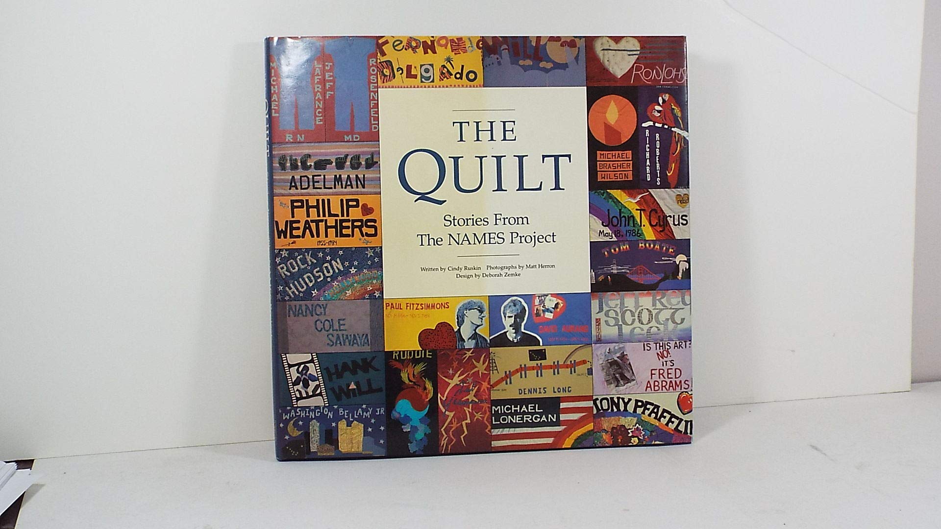 The Quilt: Stories from the Names Project used book depot