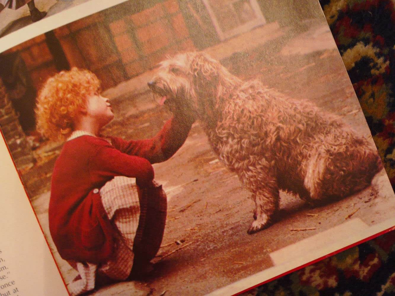 ANNIE: THE STORYBOOK BASED ON THE MOVIE used book depot