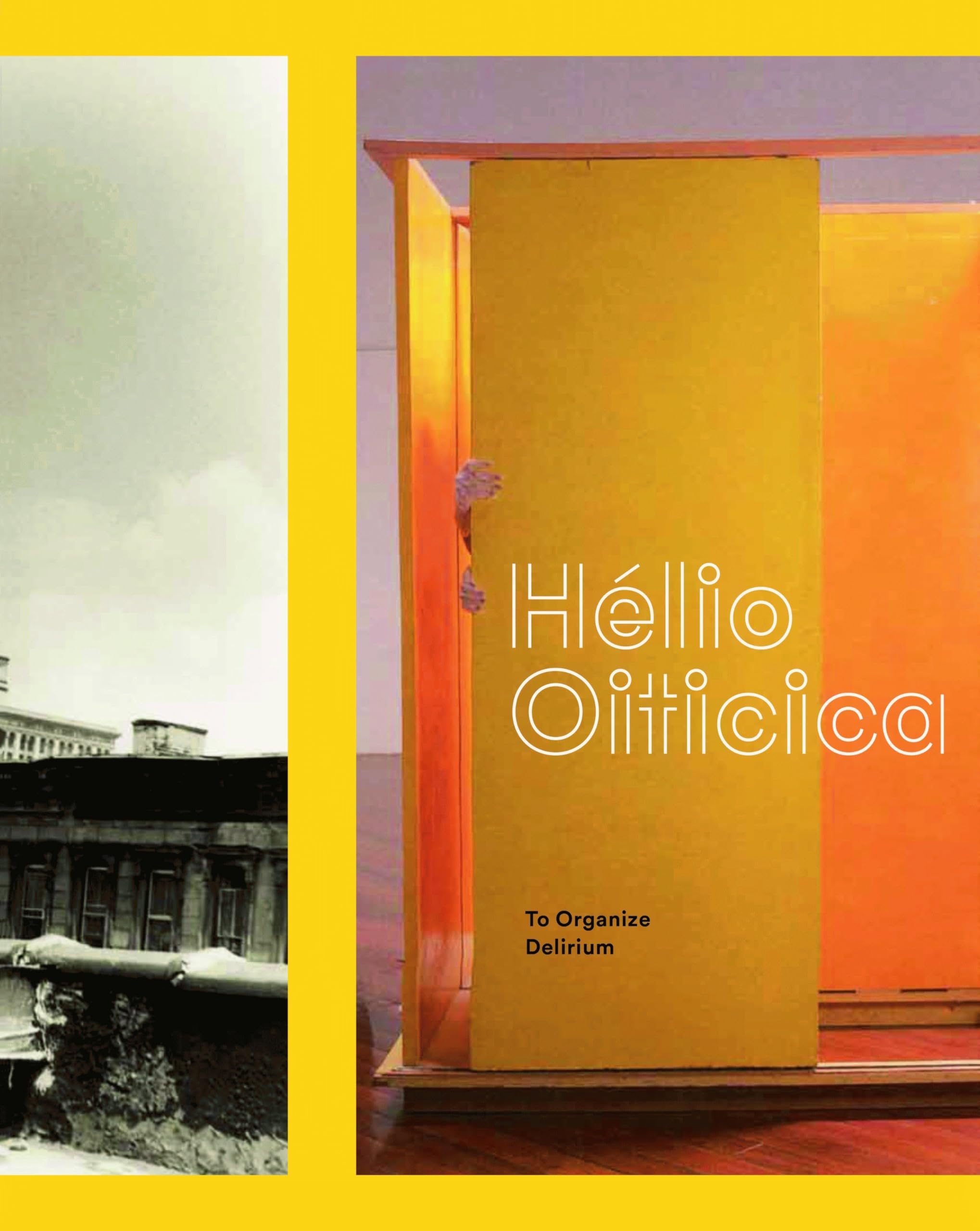 Hélio Oiticica: To Organize Delirium used book depot