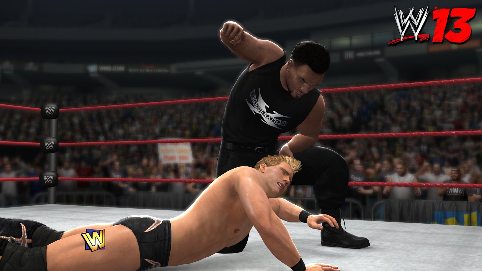 WWE '13 used book depot