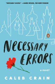 Necessary Errors: A Novel used book depot