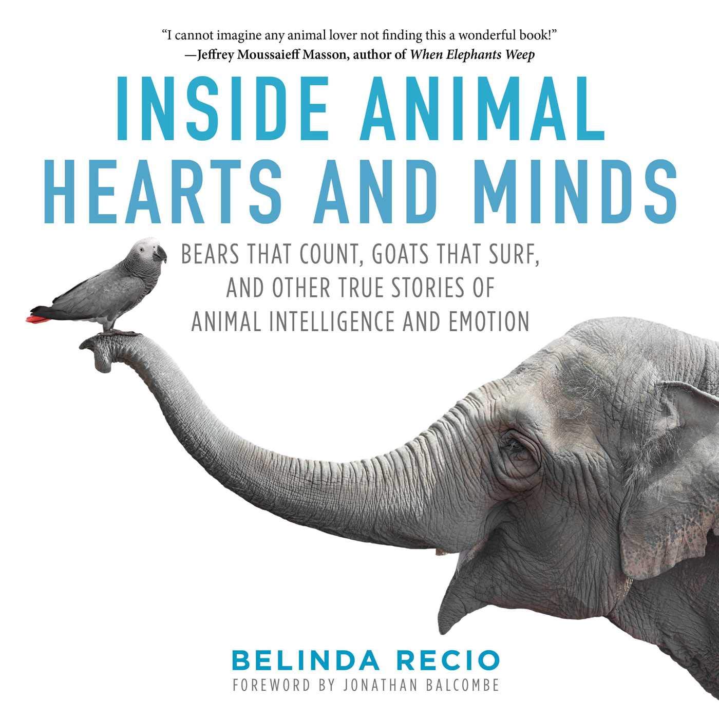 Inside Animal Hearts and Minds: Bears That Count, Goats That Surf, and Other True Stories of Animal Intelligence and Emotion used book depot