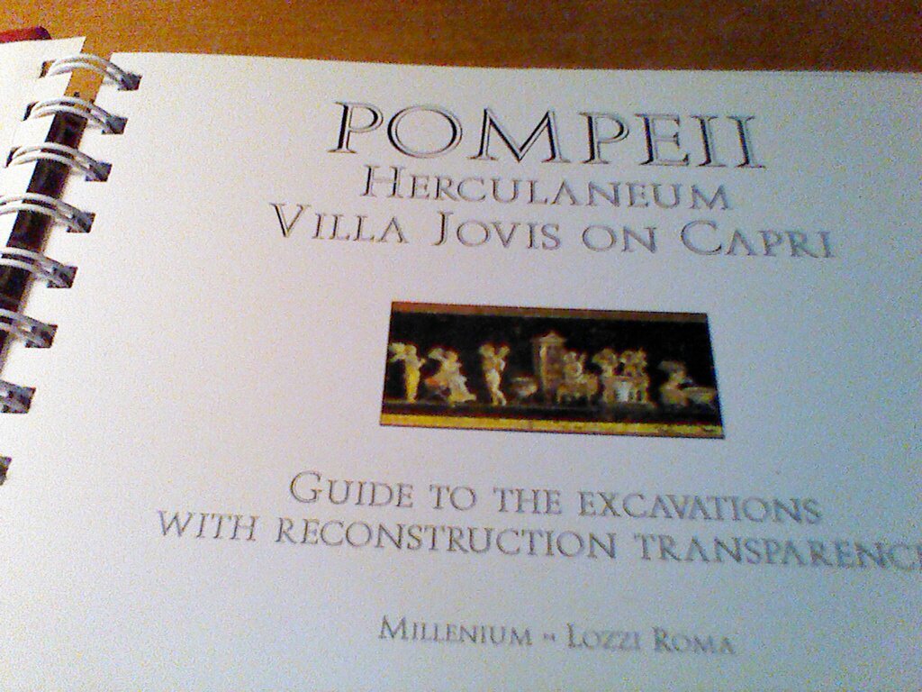 Pompeii: Guide to the Excavations by M. A. Bonaventura (2002-05-04) used book depot