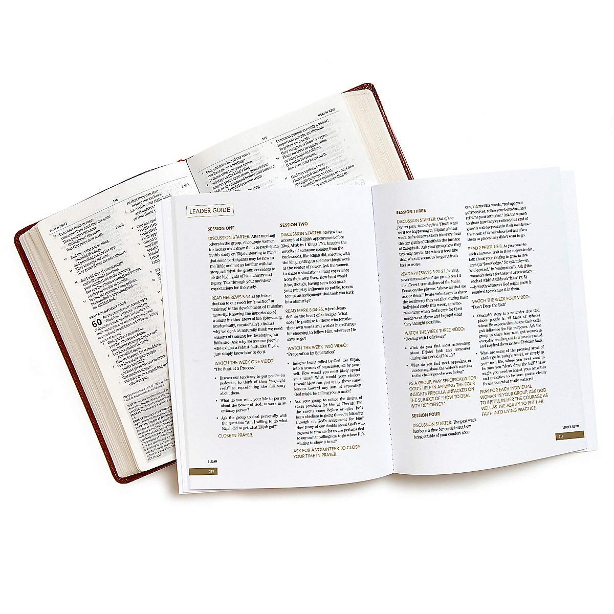 Elijah: Faith and Fire - Bible Study Book